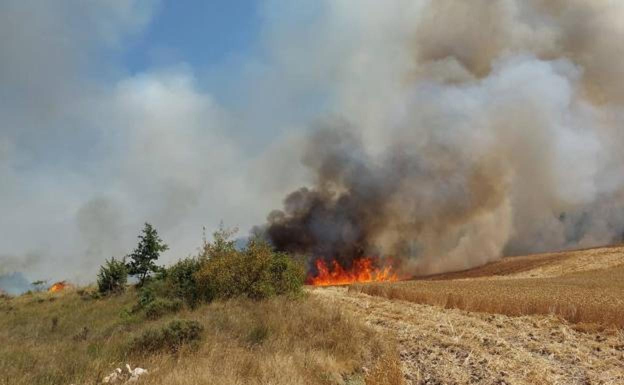 Imagen de la noticia: RESOLUCIÓN DEL DIRECTOR GENERAL DE PATRIMONIO NATURAL Y POLÍTICA FORESTAL POR LA QUE SE INCREMENTA LA SITUACIÓN DE RIESGO METEOROLOGICO DE INCENDIOS FORESTALES DECLARANDO SITUACIÓN DE ALARMA DEL 20 AL 24 DE JULIO EN LA COMUNIDAD AUTÓNOMA DE CASTILLA Y LEÓ