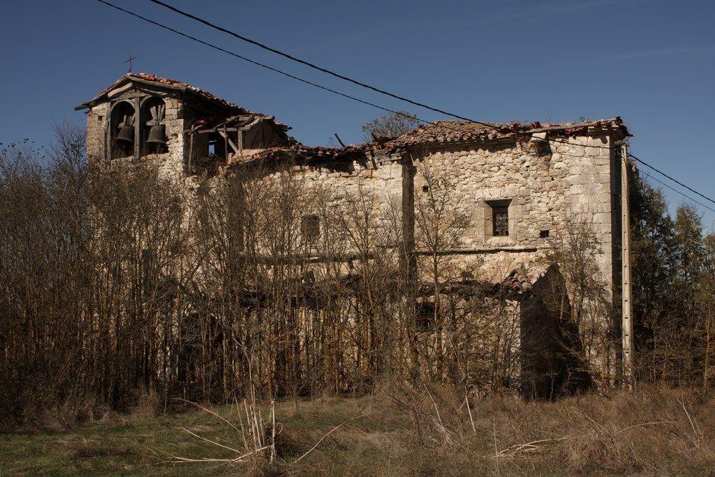 Fotografía de la galería de imágenes con id: 1006